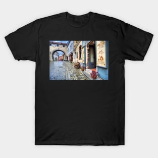 Cesky Krumlov T-Shirt